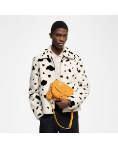 LV Montsouris Messenger