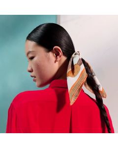 Hermès Carrick a Pompe scarf 45
