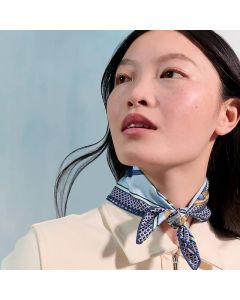 Hermès Carrick a Pompe scarf 45