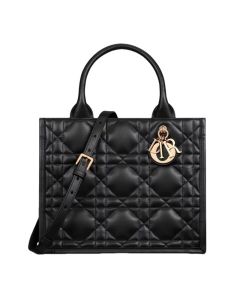 Small Dior Book Tote