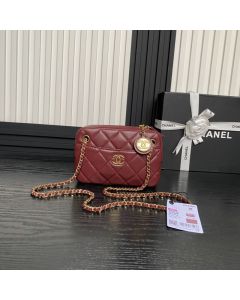 CHANEL Mini Camera Case