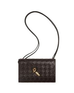 Bottega Veneta Andiamo Pouch