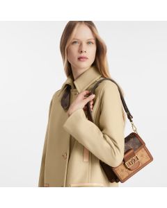 LV Mini Dauphine
