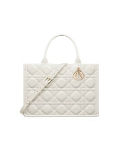 Medium Dior Book Tote