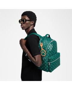 LV Discovery Backpack PM