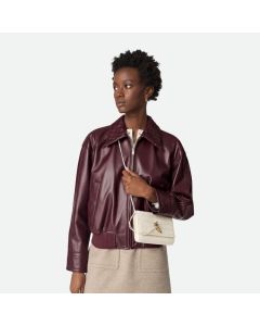 Bottega Veneta Andiamo Pouch