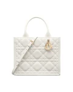 Small Dior Book Tote