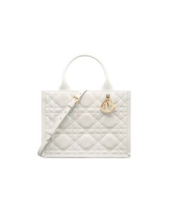 Small Dior Book Tote