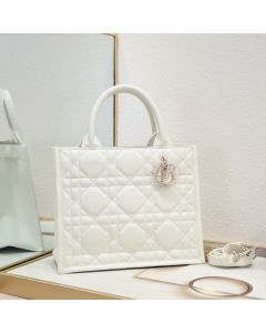 Small Dior Book Tote