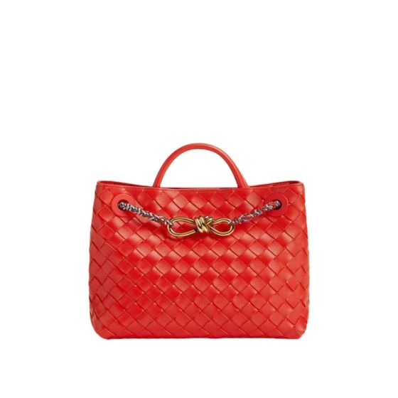 Bottega Veneta Small Andiamo