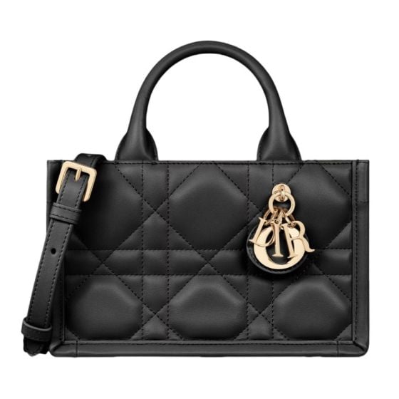 Mini Dior Book Tote