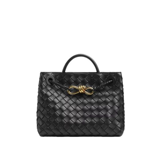 Bottega Veneta Small Andiamo