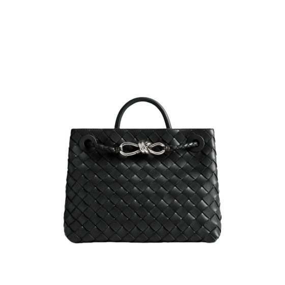 Bottega Veneta Small Andiamo