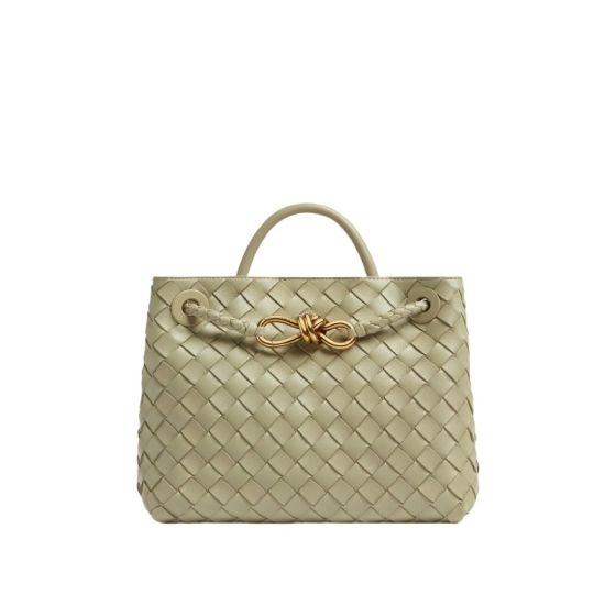 Bottega Veneta Small Andiamo
