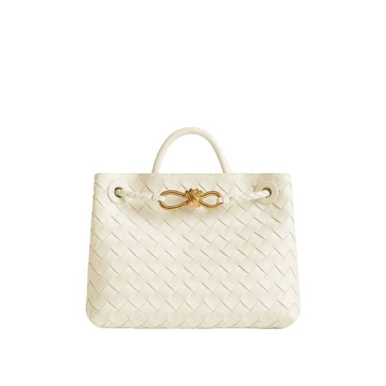 Bottega Veneta Small Andiamo
