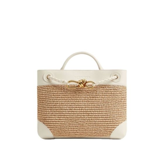 Bottega Veneta Small Andiamo