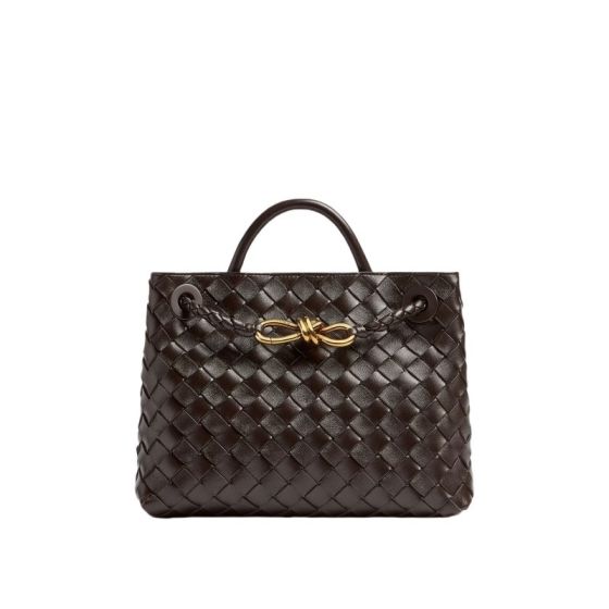 Bottega Veneta Small Andiamo