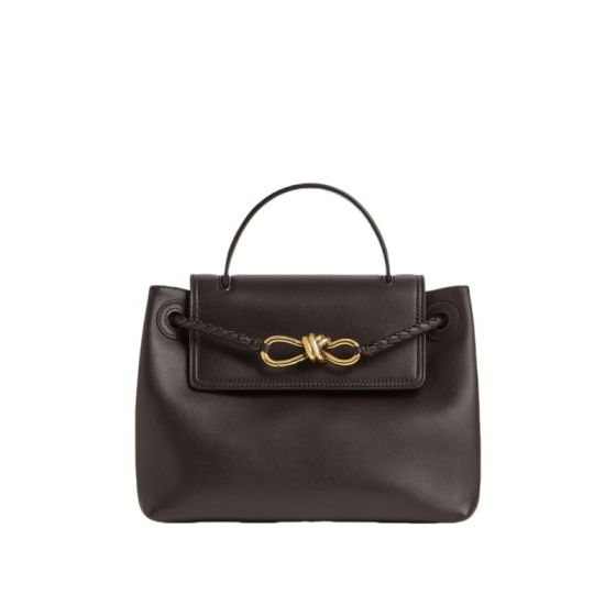 Bottega Veneta Small Ciao Ciao
