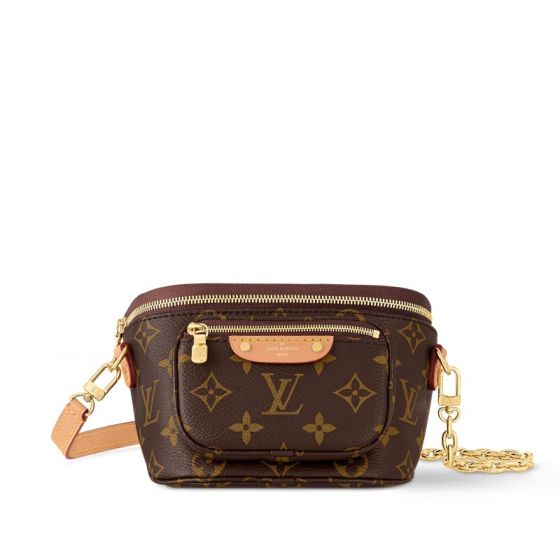 LV Mini Bumbag