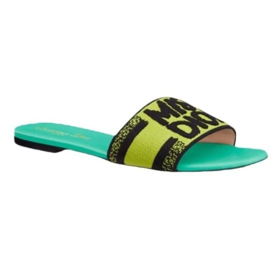 Dior Dway Slide