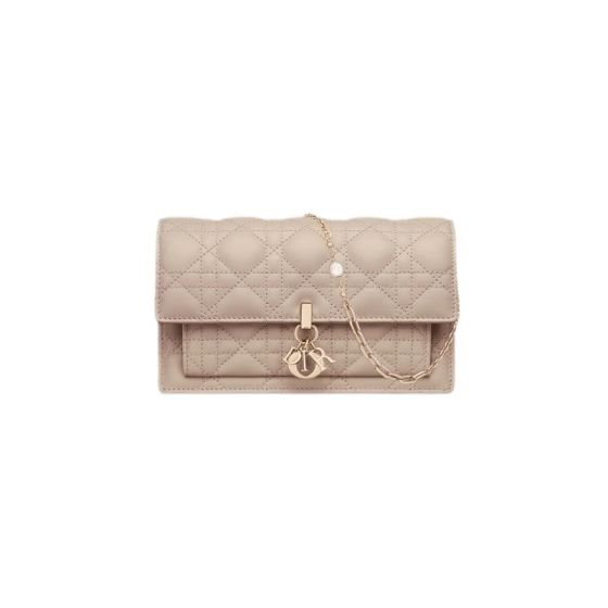 My Dior Daily Chain Pouch