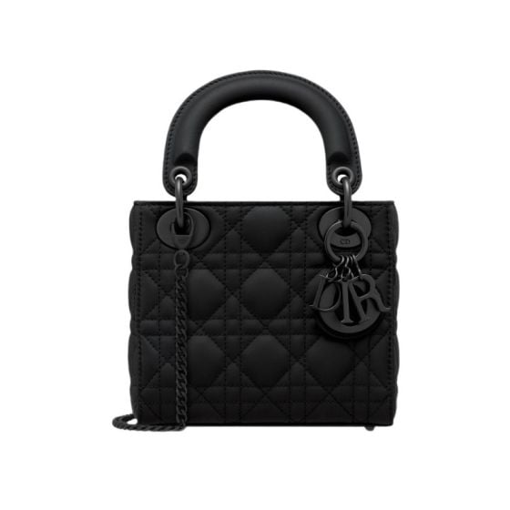 Mini Lady Dior Bag