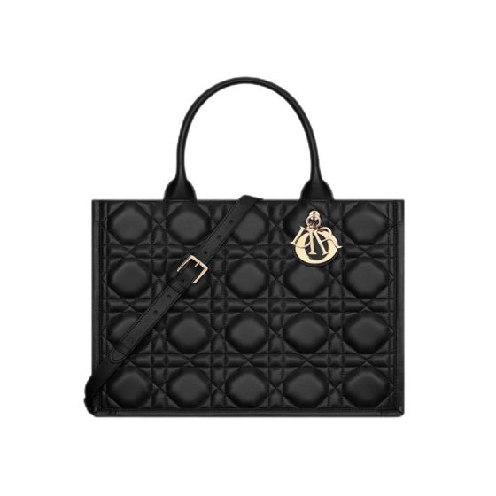 Medium Dior Book Tote