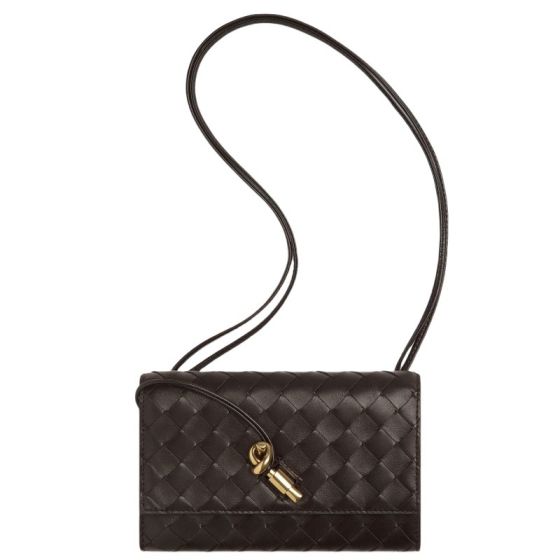 Bottega Veneta Andiamo Pouch