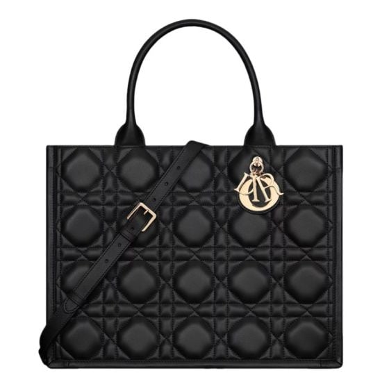 Medium Dior Book Tote
