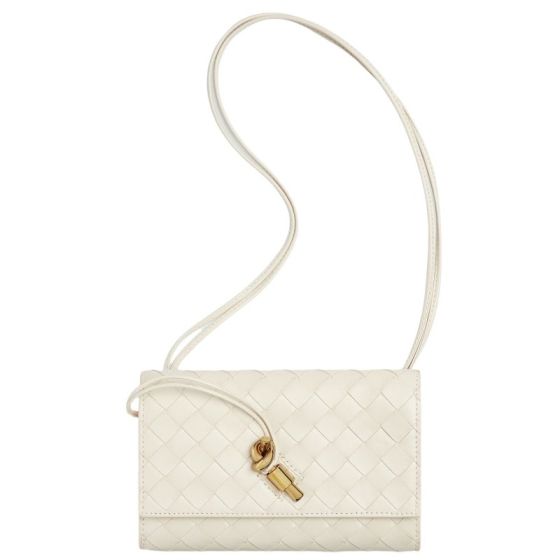 Bottega Veneta Andiamo Pouch
