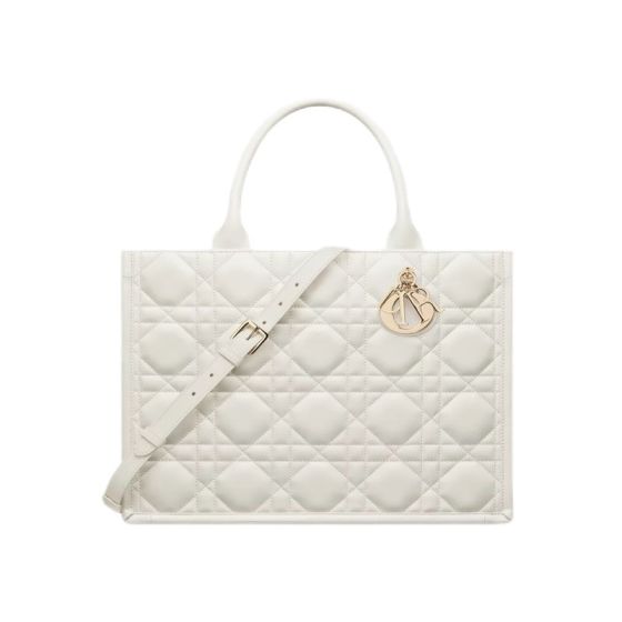 Medium Dior Book Tote