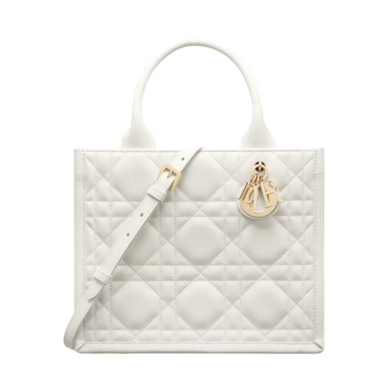 Small Dior Book Tote