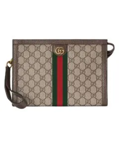 Gucci Ophidia pouch