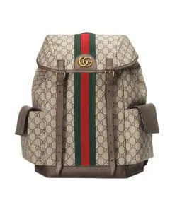 Gucci Ophidia medium backpack