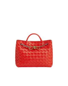 Bottega Veneta Small Andiamo