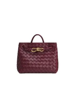 Bottega Veneta Small Andiamo