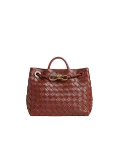 Bottega Veneta Small Andiamo