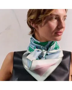 Hermès Botanica Grafica double face scarf 90