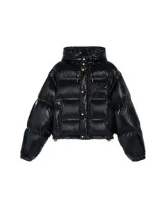 Celine cropped triomphe down jacket in lightweight nylon