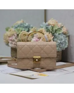 Medium Dior Ange Bag