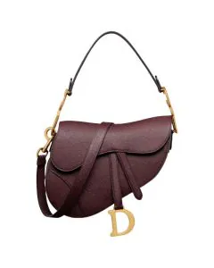 Dior Saddle Bag with Strap