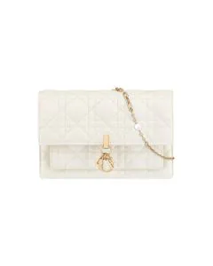 My Dior Daily Chain Pouch