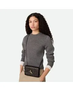 Bottega Veneta Andiamo Pouch