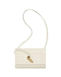 Bottega Veneta Andiamo Pouch