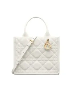 Small Dior Book Tote