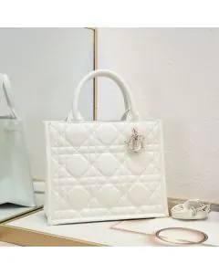 Small Dior Book Tote